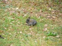 jura_le_18_006