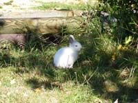 jura_le_19_039