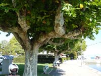 jura_le_20_076